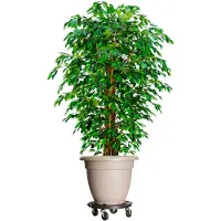 vidaXL Plantentrolleys met wielen 2 st 275 kg diameter 40 cm zwart