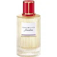 Tommy Hilfiger Unisexgeuren Eau de parfum Dames 100ml