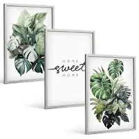 Coloray 3-Delige Schilderij Set - Planten In Het Groen Met De Woorden Sweet Home - 40 x 60 cm - Stijlvolle Wanddecoratie - Interieur - Moderne Wanddecoratie