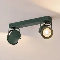 Argon Plafondspot Canico, 2-lamps, groen dimbaar, groen, Woon-/ Eetkamer, metaal, Modern, halogeen spot