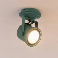 Argon Plafondspot Canico, 1-lamp, groen dimbaar, groen, Woon-/ Eetkamer, metaal, Modern, halogeen spot