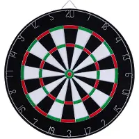 Longfield Dartbord 2,5 cm met 6 darts Dartbord