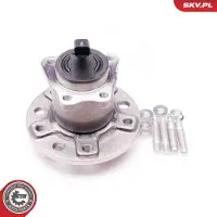 ESEN SKV 29SKV073 Wiellagerset