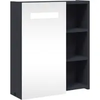 vidaXL Spiegelkast met LED-verlichting, grijs, 45x13x52 cm