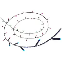 WiZ Connected WiZ Slimme Lichtslinger - 20 meter - 160 LED