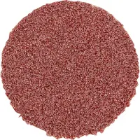 PFERD TOOLS CD 20 A 120 42750212 Schuurblad Korrelgrootte (num) 120 (Ø) 20 mm 100 stuk(s)