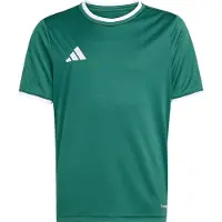 Adidas Functioneel shirt 'ENT26' donkergroen / wit