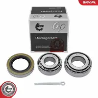 ESEN SKV 85SKV101 Wiellagerset