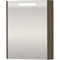 Proline SPK Premium Spiegelkast LED 60x14x74 cm Vital Oak