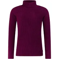 Protest Sportief sweatshirt 'PRTPEARLA' donkerlila