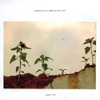 Bigwax Dis Cnt Morgan Noise - Something Built, Something Remembered (LP)