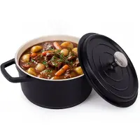 Löwenthal Braadpan Inductie 24 cm - 5.2 Liter - Met Deksel - Lichtgewicht PFAS Vrije Pan - Aluminium - Voor Alle Warmtebronnen incl. Oven - Kookpan - Stoofpan - Soeppan - Zwart - Lowenthal