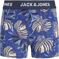JACK&JONES JUNIOR Junior Onderbroek 'JACHENDO' blauw / navy / pastelgroen / wit