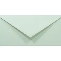 Netuno Gladde groene enveloppen A4 - 110 x 220 mm - 50 stuks - NK natgelijmde - 80 gram - Rainbow -