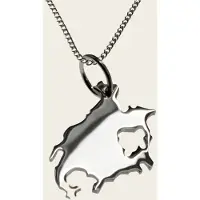 MOOYE ® - Collectie Zilveren Landkaart Noord Amerika ketting hanger