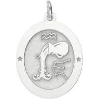 MOOYE ® - Collectie Zilveren Sterrenbeeld waterman ovaal kettinghanger