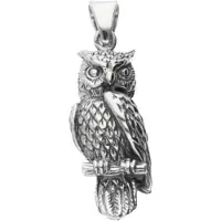 MOOYE ® - Collectie Zilveren Uil groot massief kettinghanger