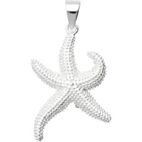 MOOYE ® - Collectie Zilveren Zeester groot kettinghanger