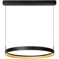 Lucide RADIANT - Hanglamp - LED Dimb. - CCT - 1x60W 2200K/4000K - Zwart - Vibes
