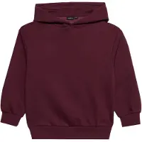 LMTD Sweatshirt 'NLNNEVO' bessen