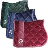 Tattini Zadeldek voor paarden Louvre