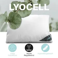 Lanotte hoofdkussen - 100% lyocell vulling - 60x70 cm