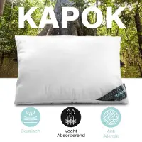 Lanotte hoofdkussen 100% kapok vulling - 60x70 cm