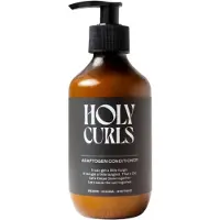 Holy Curls Conditioner 300 ml