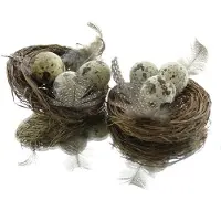 Kaemingk Nest Op Draad Met 3 Eieren, 2 In Doos