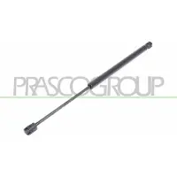 PRASCO FD0069055 Gasveer achterklep