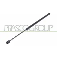 PRASCO RN0349055 Gasveer achterklep