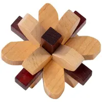 Recent toys Parietal Lobe - Houten breinbreker puzzel - Stimuleert zintuigen en logisch denken