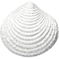 MOOYE ® - Collectie Zilveren Venusschelp in detail XL kettinghanger
