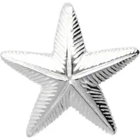 MOOYE ® - Collectie Zilveren Zeester in detail kettinghanger