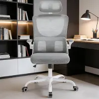 HAUSS SPOLE Ergonomische Bureaustoel Met Hoge Netrugleuning En Lendensteun Voor Kantoor En Studie Grijs