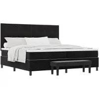 vidaXL Boxspring bed met hoofdeinde Zwart 200 x 200 cm Fluweel
