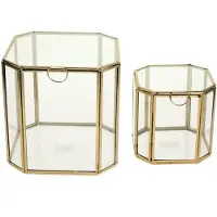 Meander Vitrinedoos s/2 glas en goudkleurig metaal 17,5x16,5x19cm