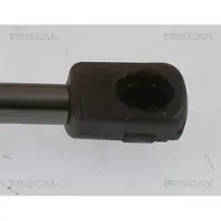 TRISCAN 8710 43251 Gasveer achterklep