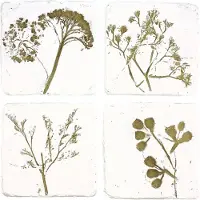 Meander Onderzetters Bloemen reliëf, s/4 9,8x0,7x9,8cm