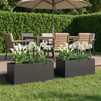 vidaXL Plantenbak 2 st Zwart 100 x 40 x 40 cm Koudgewalst staal