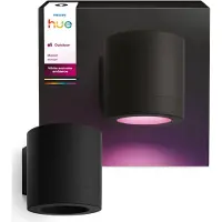 Philips Hue Muscari Muurspot Buiten