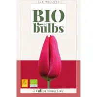 JUB Tulipa strong love bio bloembol 7 stuks