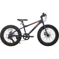 Happiq Kinder Mountainbike 51 cm – Voor Kinderen vanaf 5 Jaar / Strand en Off-Road – 7 Versnellingen met Dubbele Schijfremmen en Fat Tires – Blauw