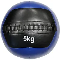Softee Medicijnbal 5kg