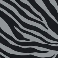2lif Zebra Zelfklevende Folie Mini rol grijs 45cmx2mtr