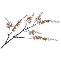 Silk-ka Kunstbloem-Zijden Capparis Tak Groen-Roze 131 cm