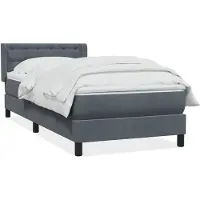 vidaXL Boxspringbed met matras, donkergrijs, 80x220 cm, fluweel