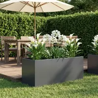 vidaXL Plantenbak Antraciet 100 x 40 x 40 cm Koudgewalst staal