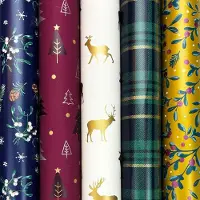 Benza Wintercharm cadeaupapier - Kerstpapier inpakpapier voor kerst - 200 x 70 cm - 6 rollen