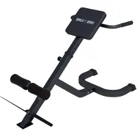 Gorilla Sports Hyperextensie Bank roman chair zwart